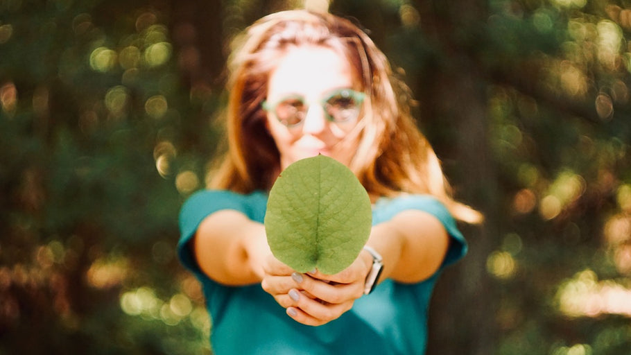 World Environment Day: Six easy steps to greenify your business